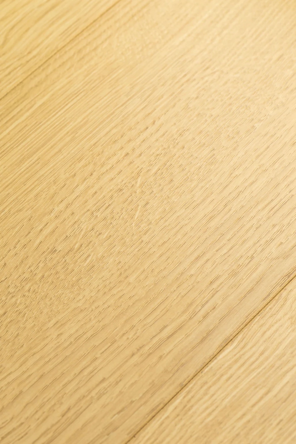 Дуб Юникум | Unicom oak 1F420