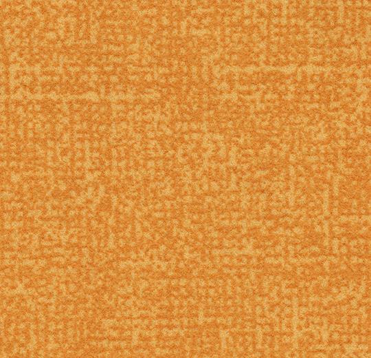 s246036 Metro gold