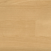 574 Sugar Maple