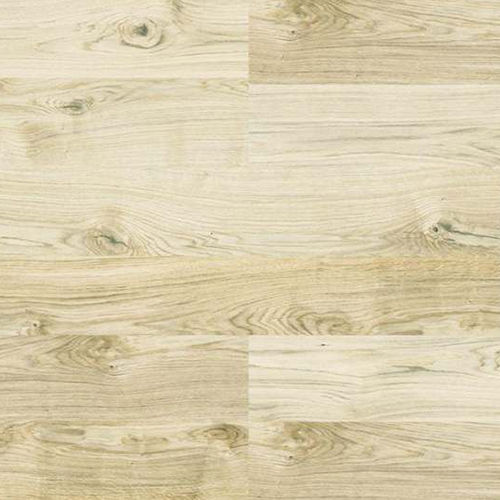 Oak Virginia White
