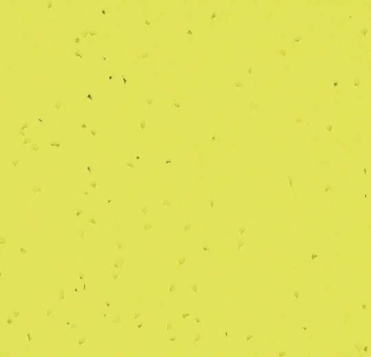 50260 lemon