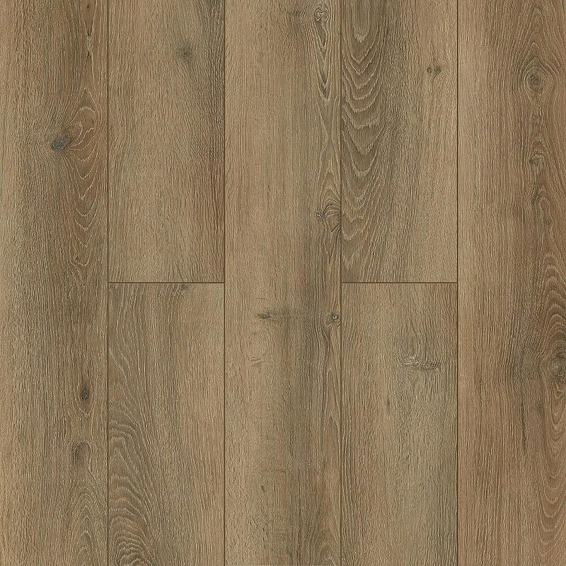 Дуб Эниф ABA ECO 7-31