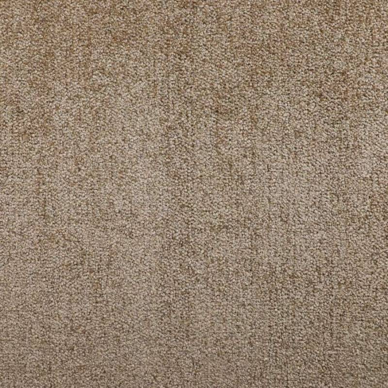 10431