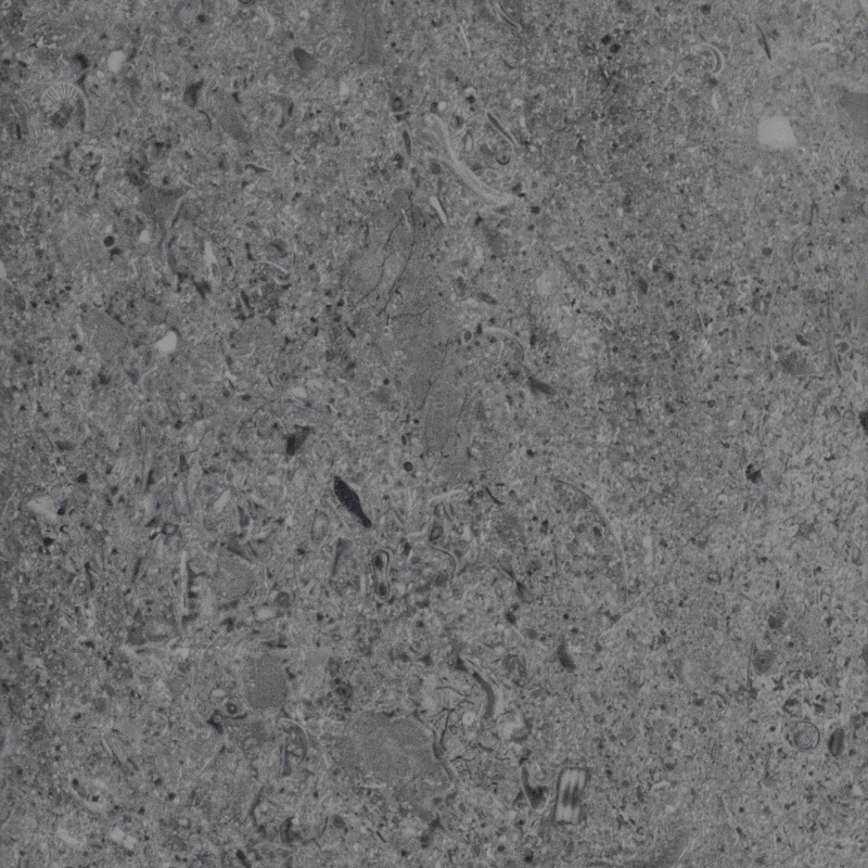 5609 WATER LIMESTONE DARK GREY