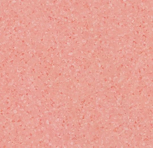 4131 dragon fruit