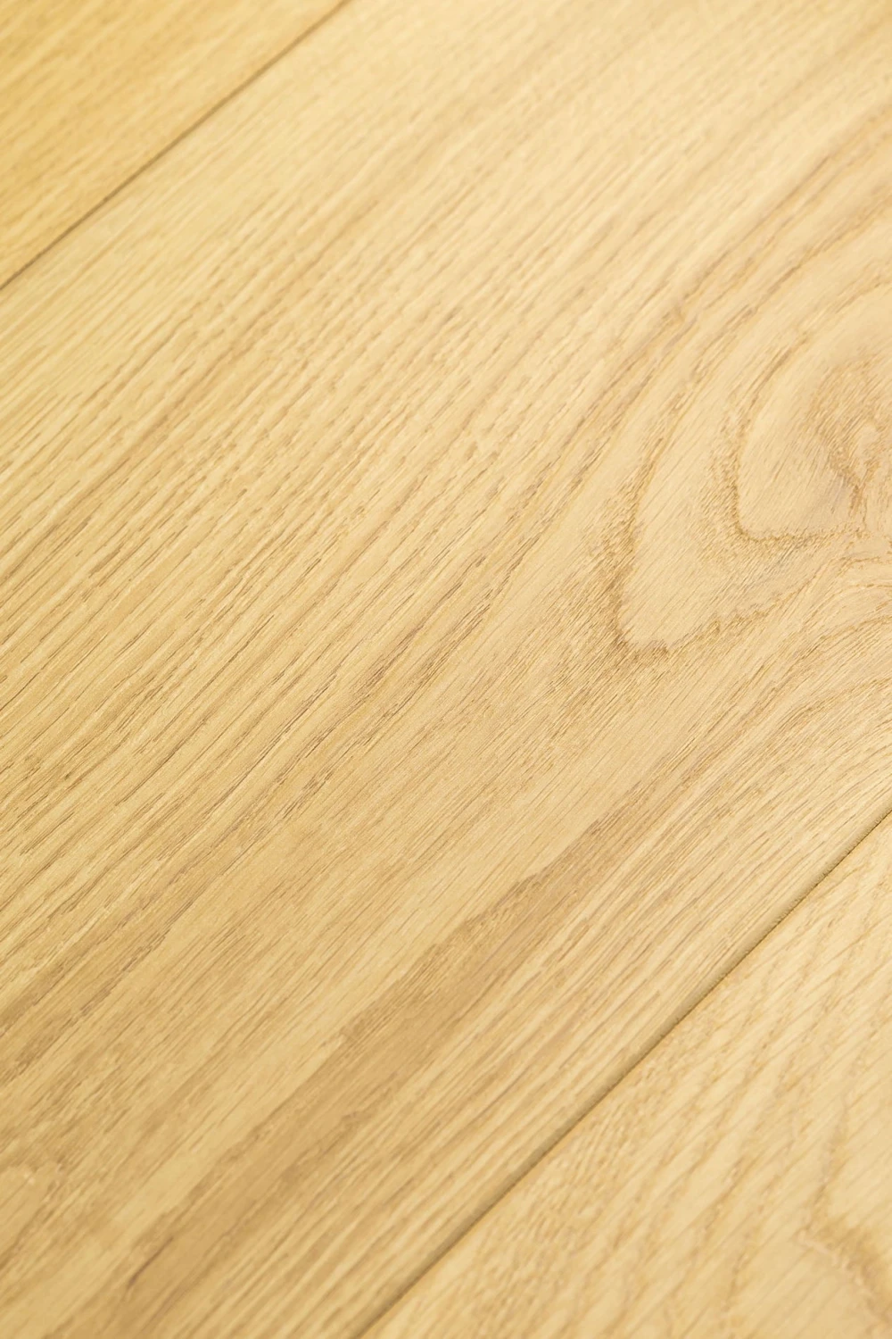 Дуб Юникум | Unicom oak 1F420