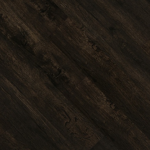 849 Bergen Oak