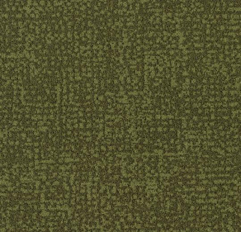 s246021 Metro moss