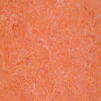 121-019 sunset orange
