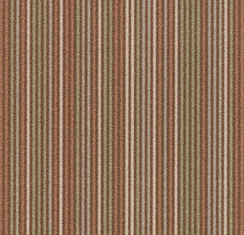 t550010/t553010 Complexity straw