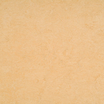 121-098 desert beige