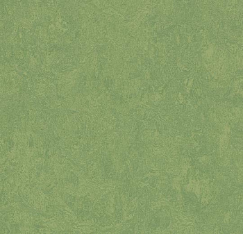 326035 leaf