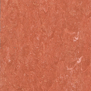 121-115 rusty orange